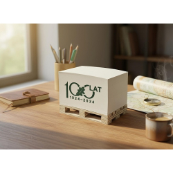 Podkładka mini paletka 120x80 mm